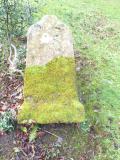 image number 1020601